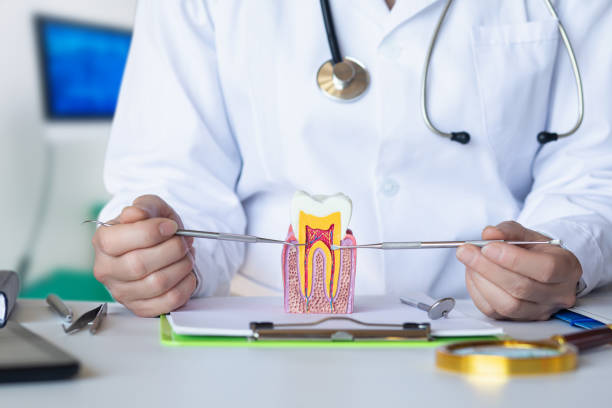 Best Broken or Cracked Tooth Emergency Dentist in Collegeville, PA